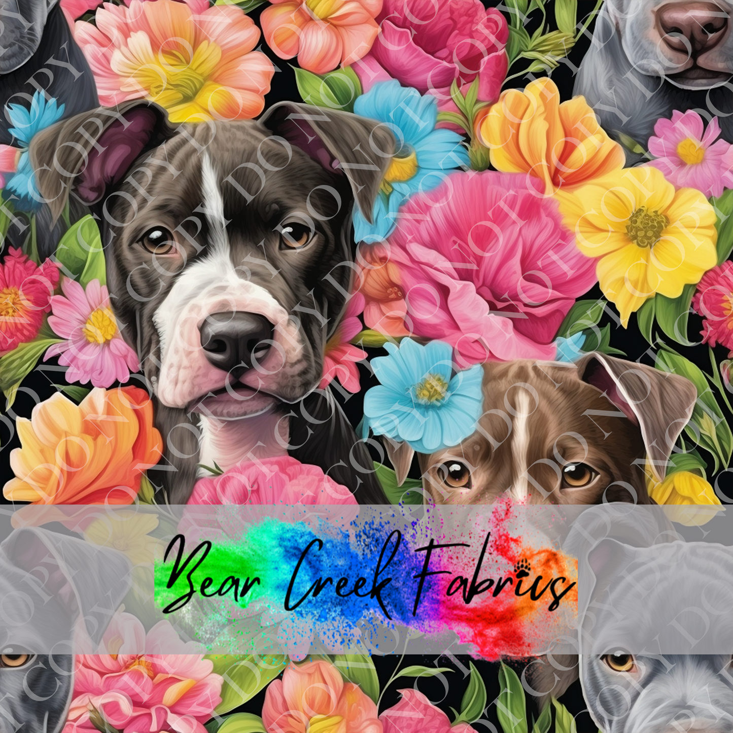 Pit Bulls