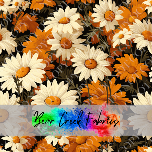 Daisy Field